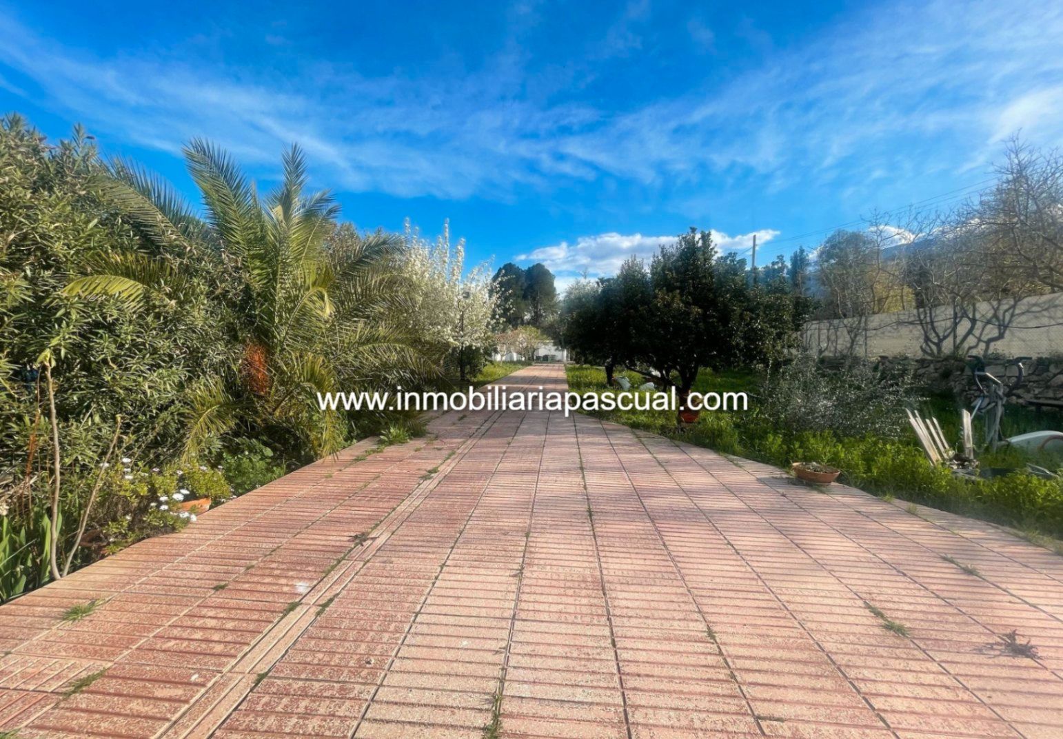 Exterior view of House or chalet for sale in Muro de Alcoy