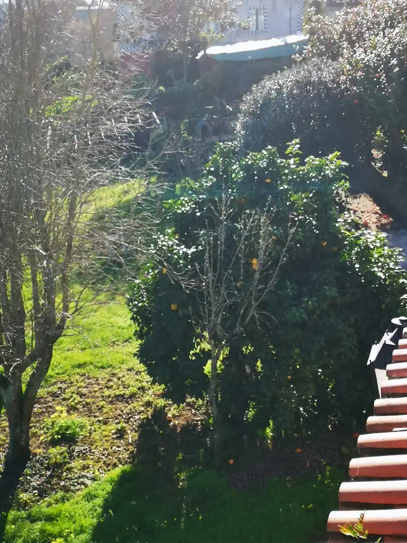 Haus mit Terrasse zum Verkauf in Caldas de Reis, imagen 38