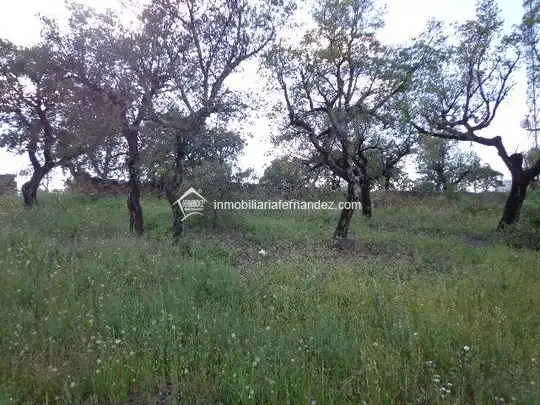 Terreni e lotti in vendita a Sierra de Fuentes, imagen 8