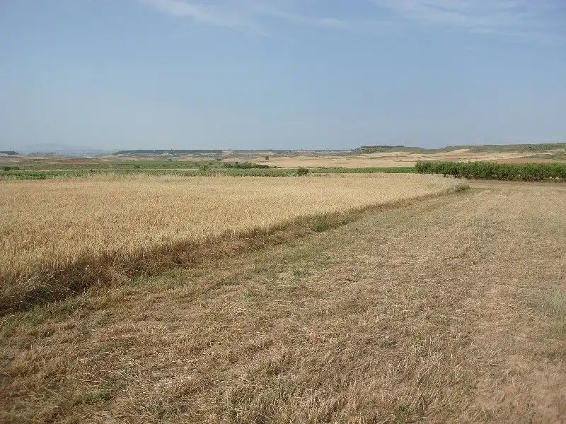 Terrenys i solars en venda a Alberite, imagen 3