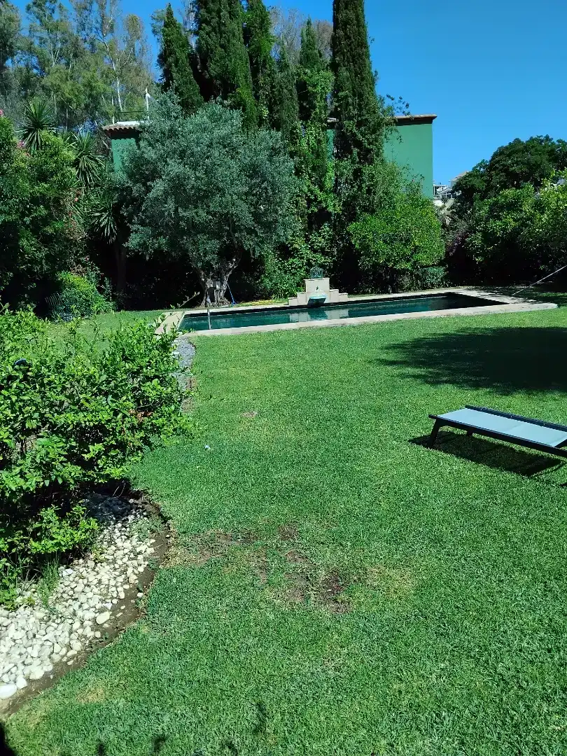 Swimming pool of Houses for rent in Nueva Andalucía