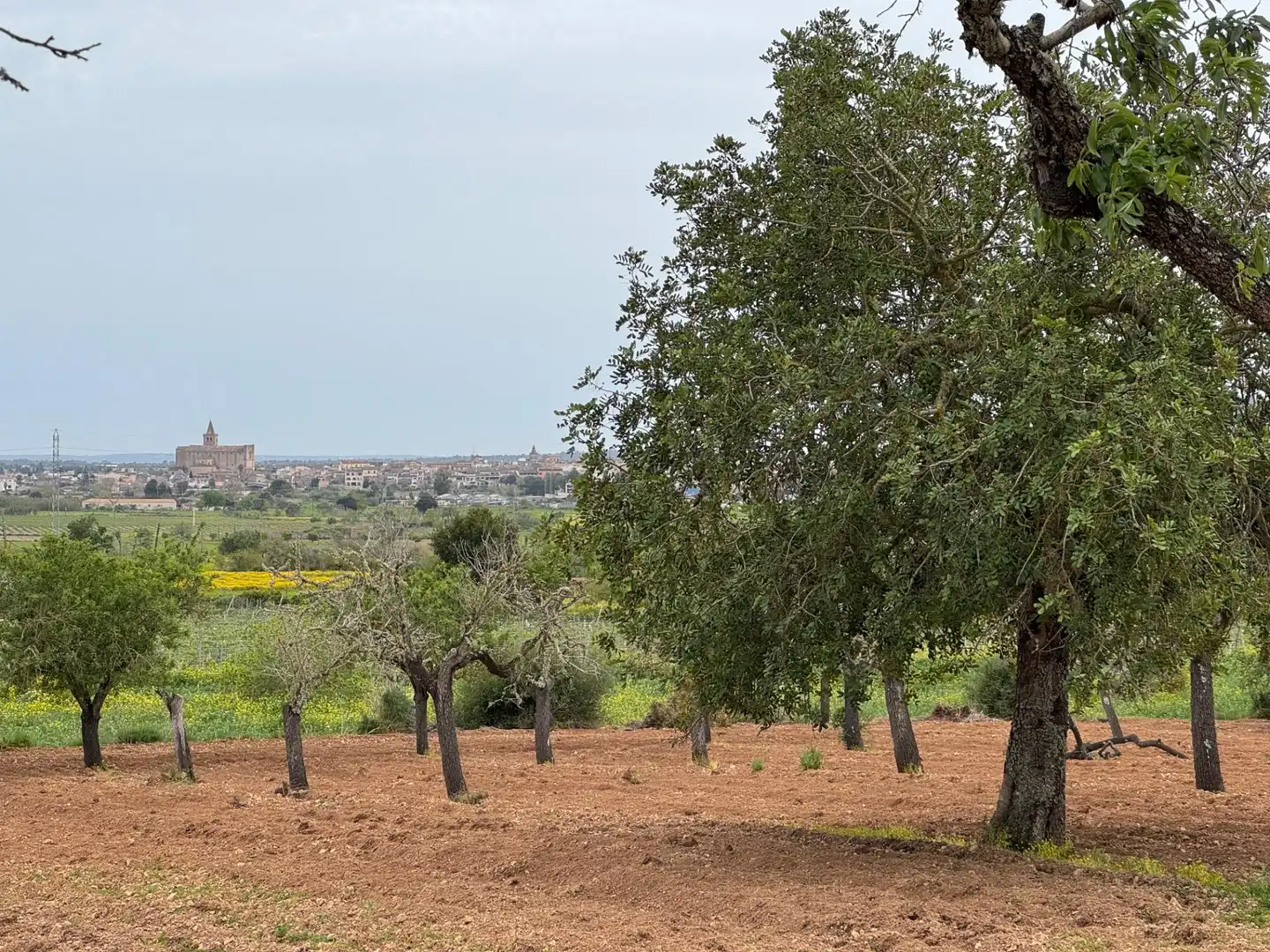 Rustikales Grundstück zum Verkauf in Camino Camí Vell de Porreres 2, imagen 5