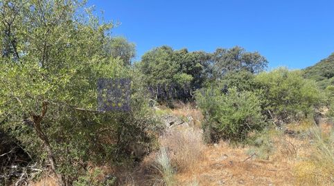 FINCA MIXTA DE UNAS 50 HECTÁREAS EN LA ZONA DE ALCUESCAR, imatge 2