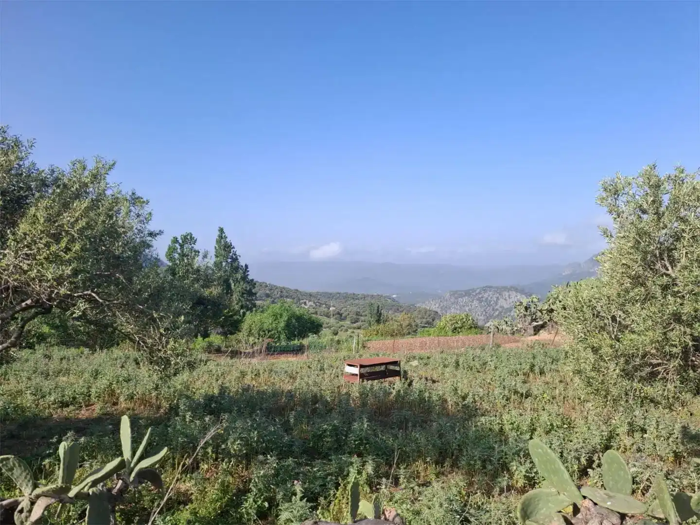 Piso en venta en Benaocaz con Jardín privado, Trastero y Piscina