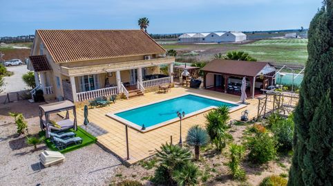 Foto 4 de Finca rústica en venta en Crevillent, Alicante