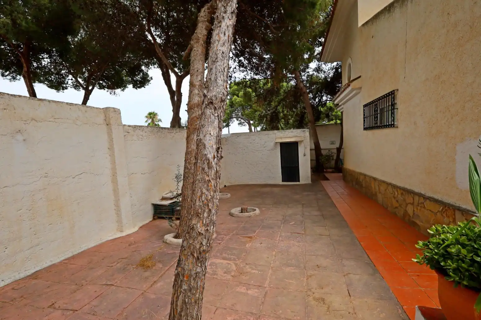 Jardín de Casa o chalet en venta en Torremolinos con Calefacción y Terraza