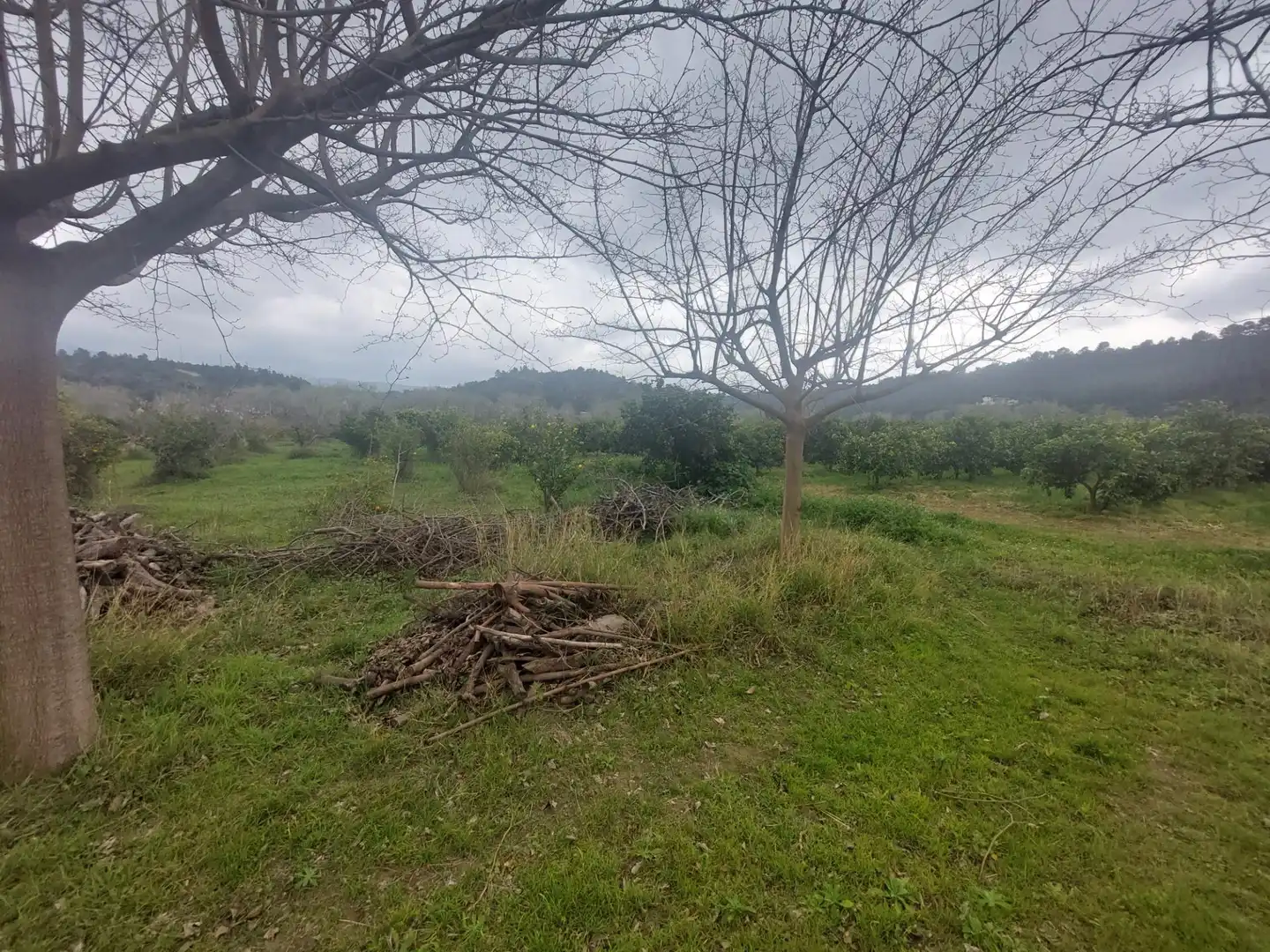 Finca rústica en venda en Xerta amb Calefacció