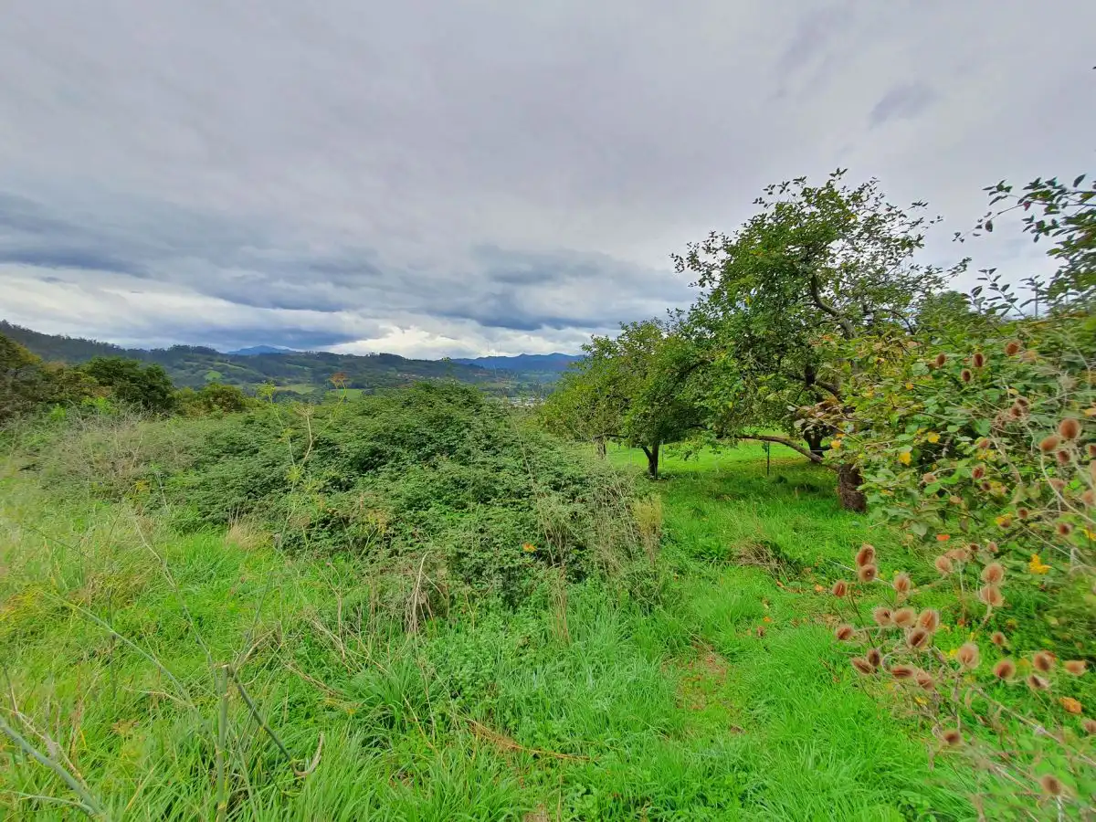 Terreno residencial en venta en Candamo, imagen 3