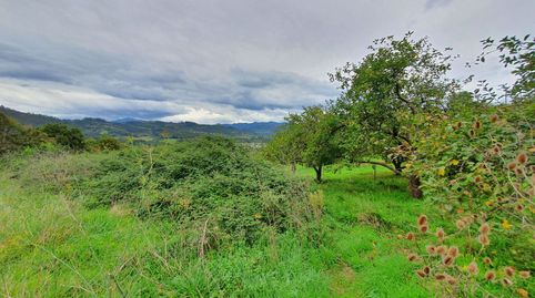 Terreno Urbano en venta en Candamo., immagine 3