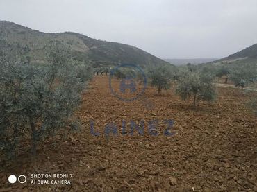 Terreno residencial en venta en Belmez
