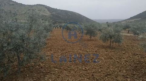 Finca totalmente llana con casa y nave en aldea del Hoyo municipio de Belmez. Con una superficie de 18.896, 
Con acceso por camin