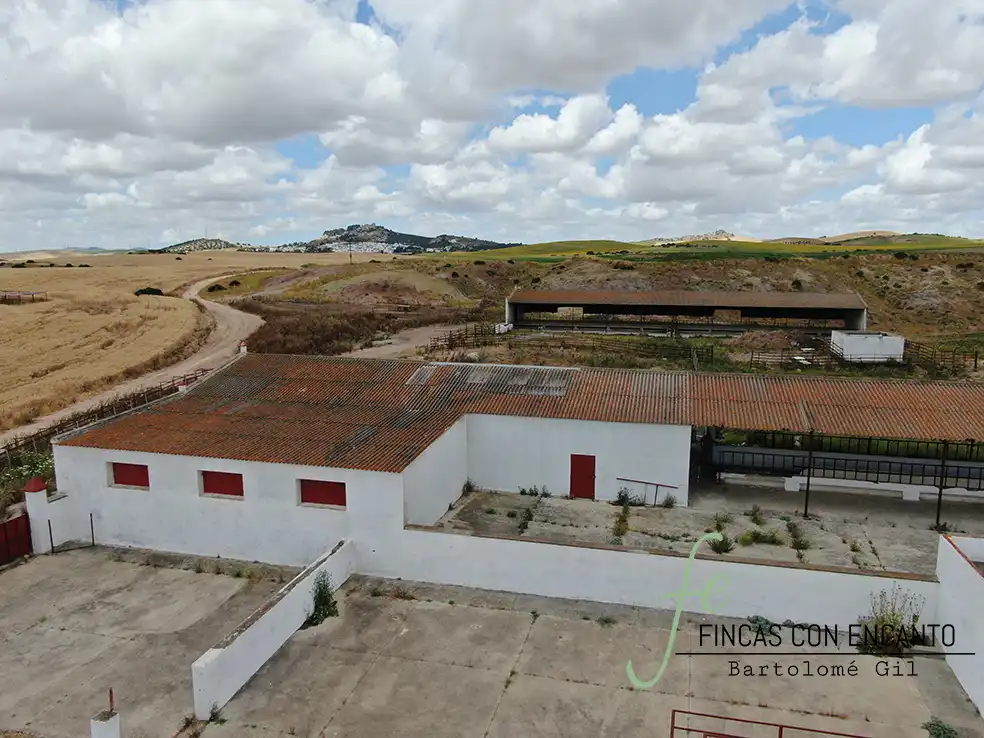 Country homes for sale in Espera
