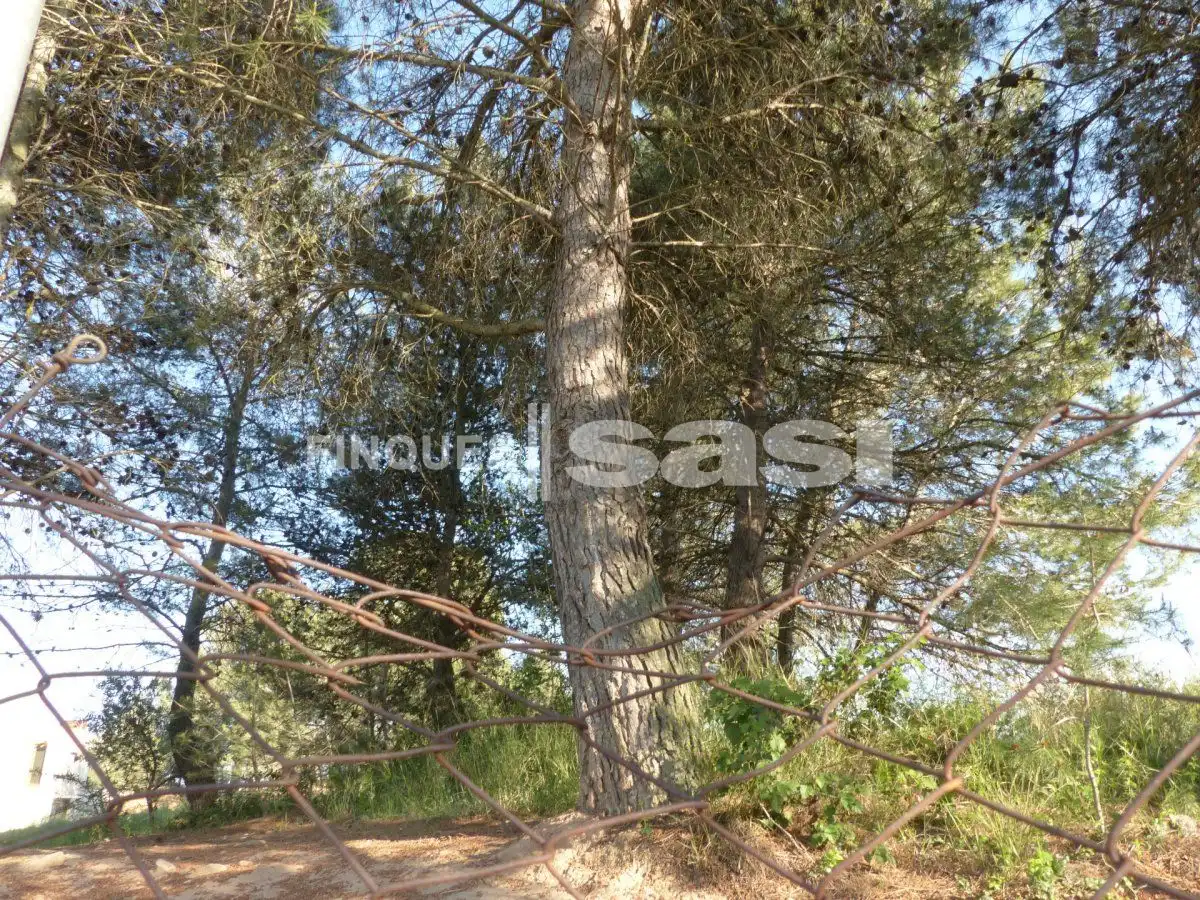 Residential land for sale in Sesoliveres - Pla de la Massa, imagen 10