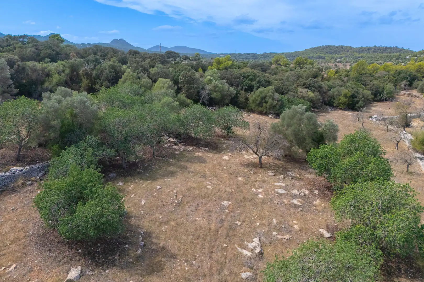 Terrain résidentiel à vendre à Son Servera Poble, imagen 8