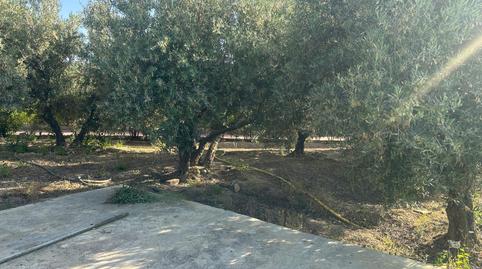 Foto 3 de Casa o xalet en venda a Moraleda de Zafayona, Granada