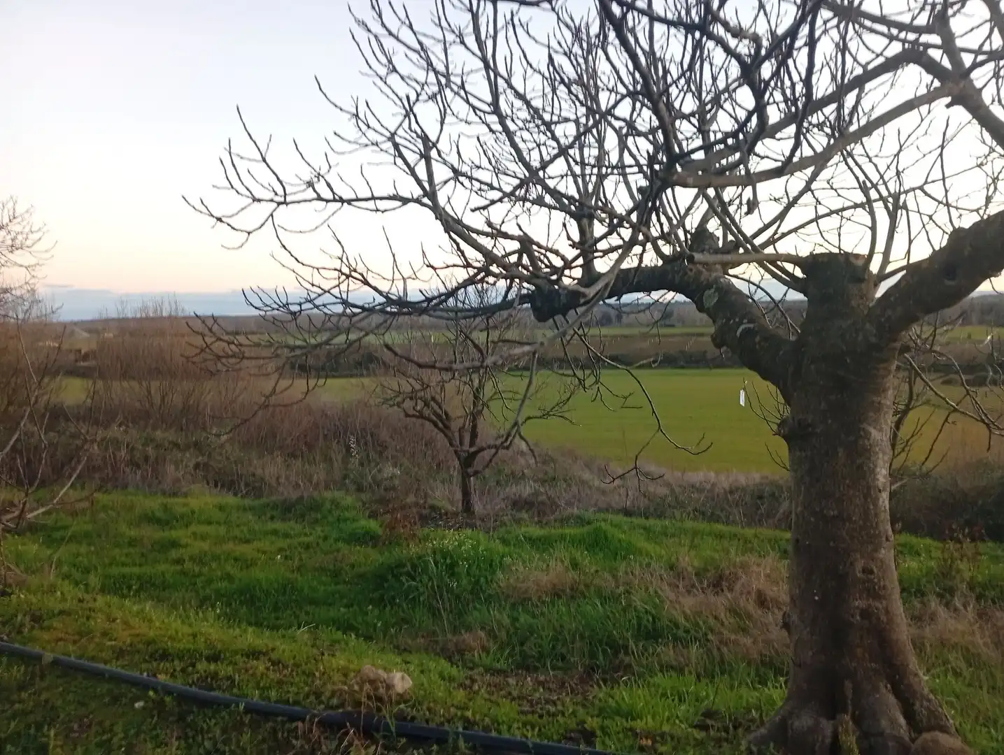Land for sale in Losar de la Vera
