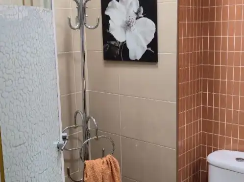 Bany de Casa o xalet en venda en Algeciras amb Aire condicionat, Terrassa i Balcó
