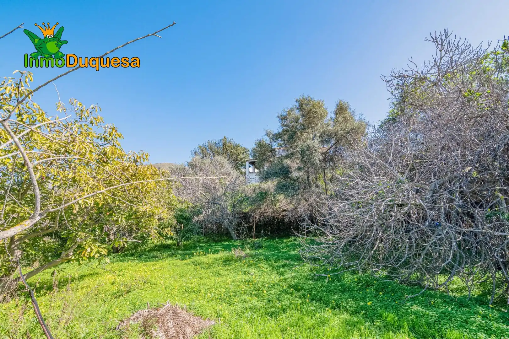 Detached house with pool for sale in Los Tablones - La Garnatilla, imagen 65