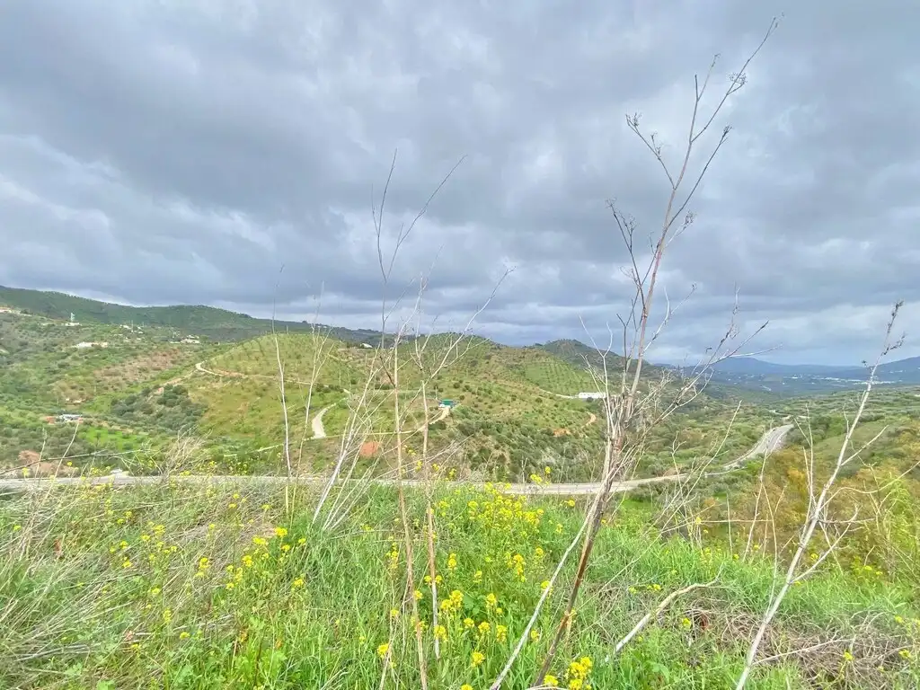 Casa rústica con jardín en venta en Colmenar, imagen 25