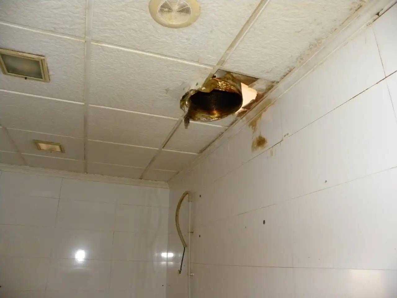 Local comercial en alquiler en Caravaca de la Cruz, imagen 12