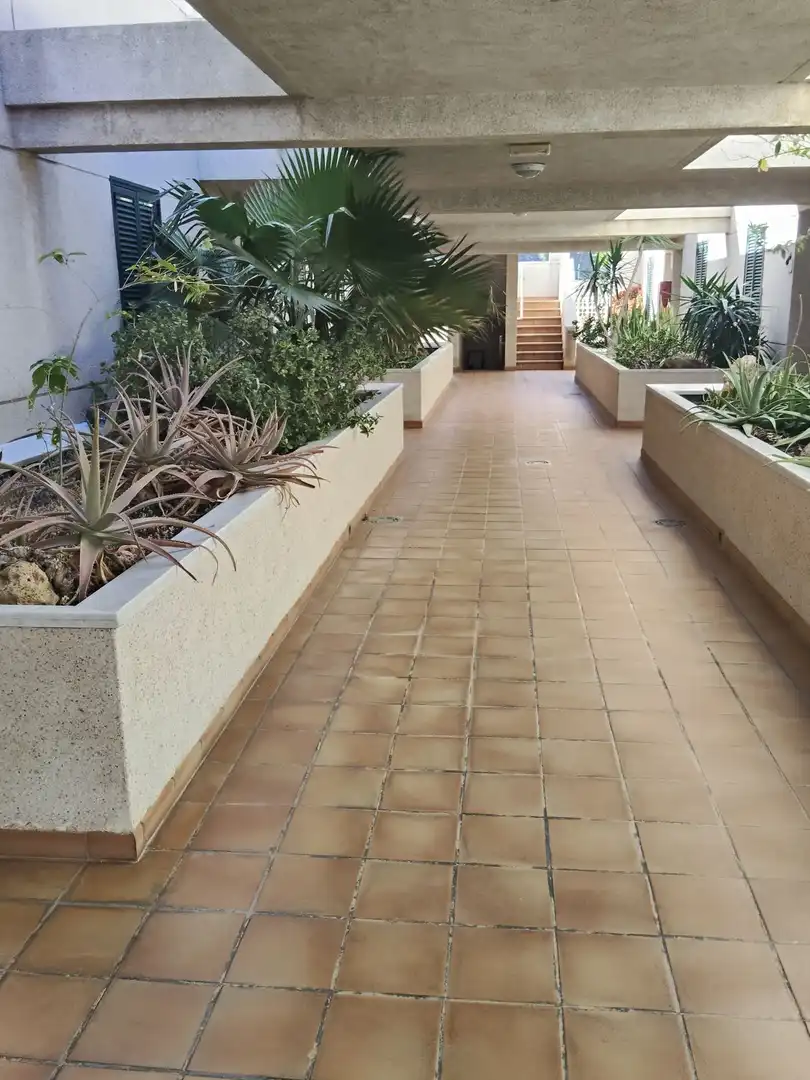 Terrace of Flat for sale in Granadilla de Abona  with Terrace and Community pool