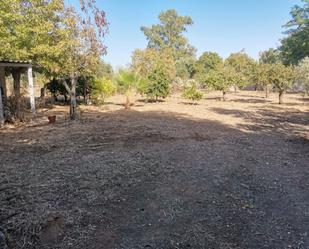 Terreny en venda en Villanueva de la Serena