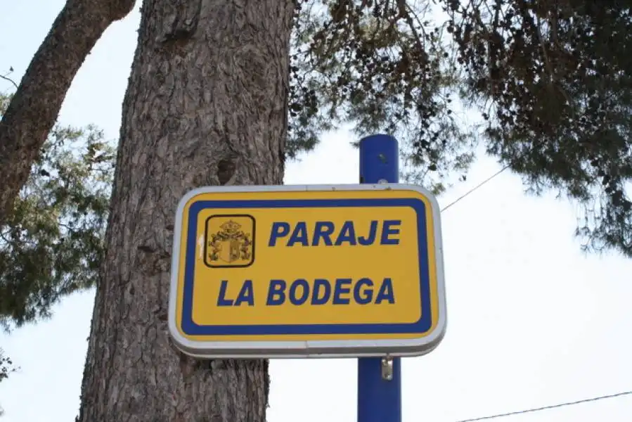 Terreno rústico en venta en Montepinar - La Aparecida - Raiguero, imagen 14
