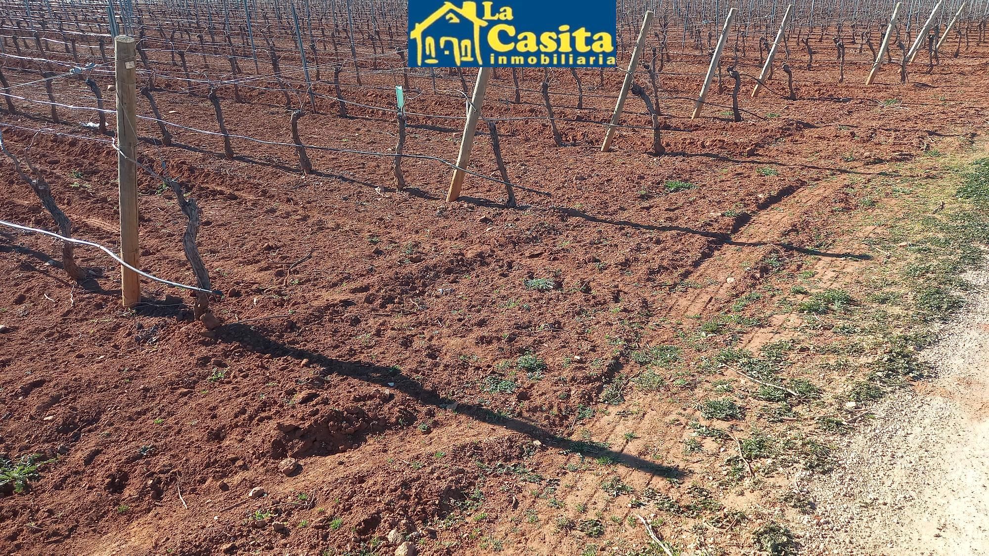 Terreno en venta en Calle Ancha, Almagro