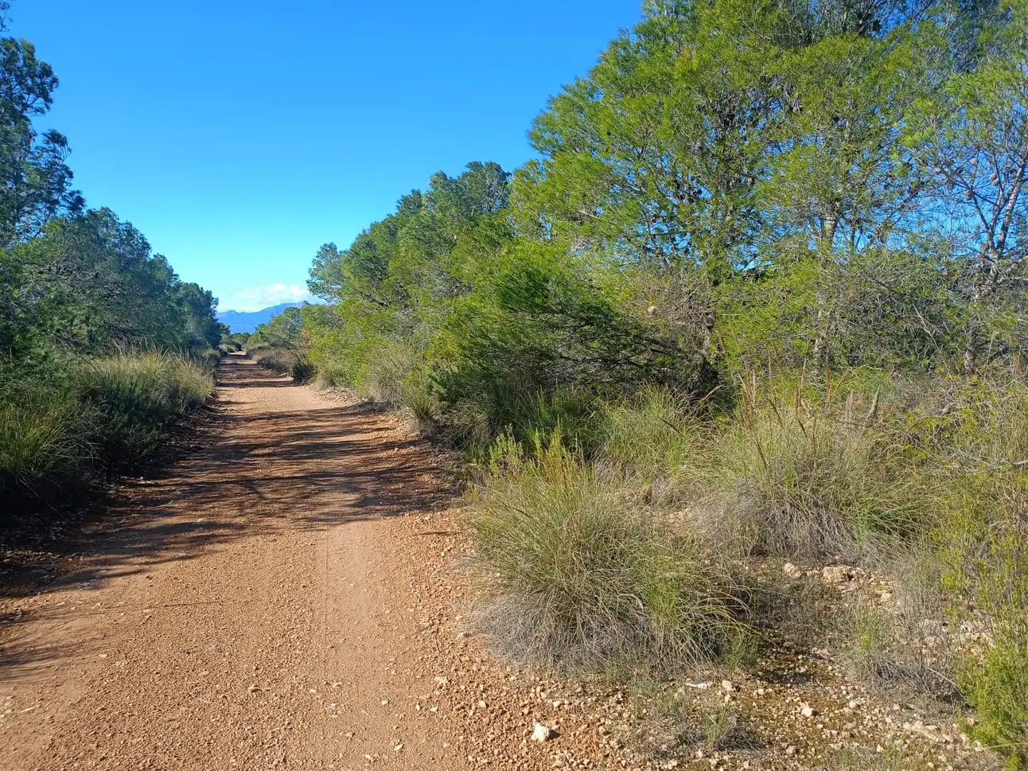 Grundstücke zum Verkauf in Lorca