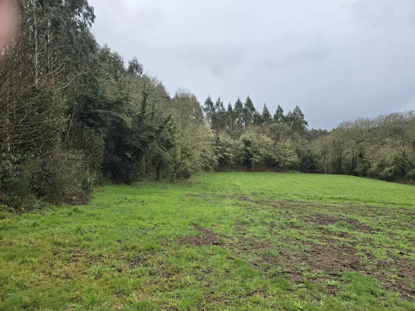 Finca rústica en venda en Cerceda amb Jardí privat