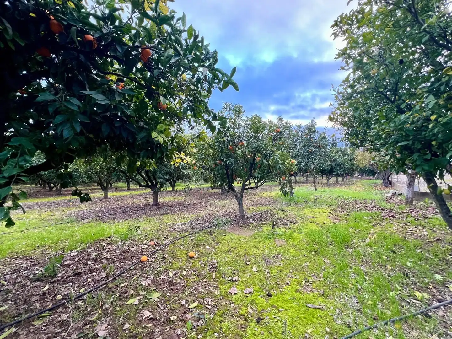 Villa mit Garten zum Verkauf in Periurbano Oeste - Sierra, imagen 4