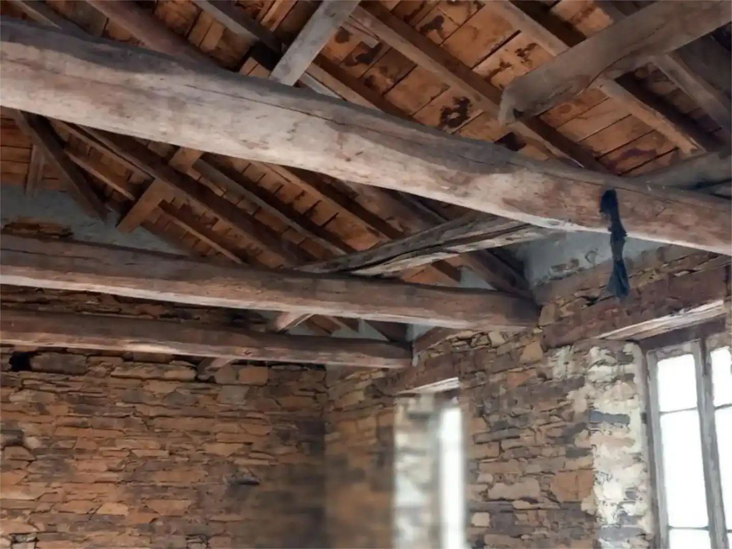 Finca rústica en venta en Taramundi