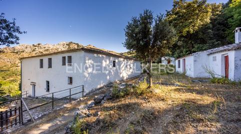 Foto 5 de Finca rústica en venda a Grazalema, Cádiz