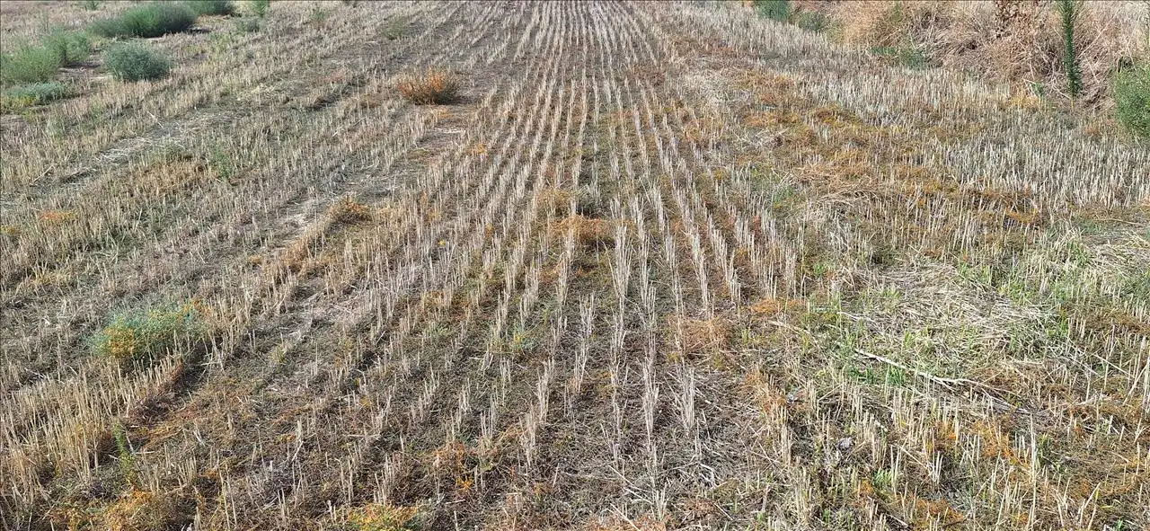 Residential land for sale in SECTOR 14 DEL PGOU, imagen 7
