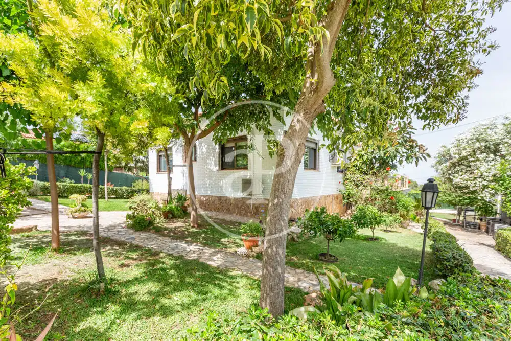 Jardín de Casa o chalet en venta en Chiva con Aire acondicionado, Calefacción y Jardín privado