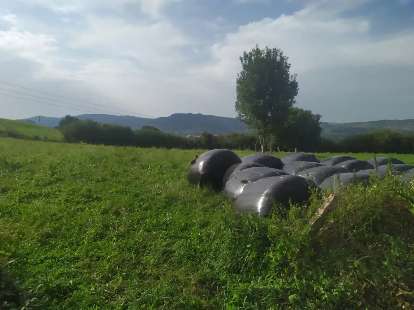 Terreni e lotti in vendita a Lloreda - LLOREDA, imagen 5