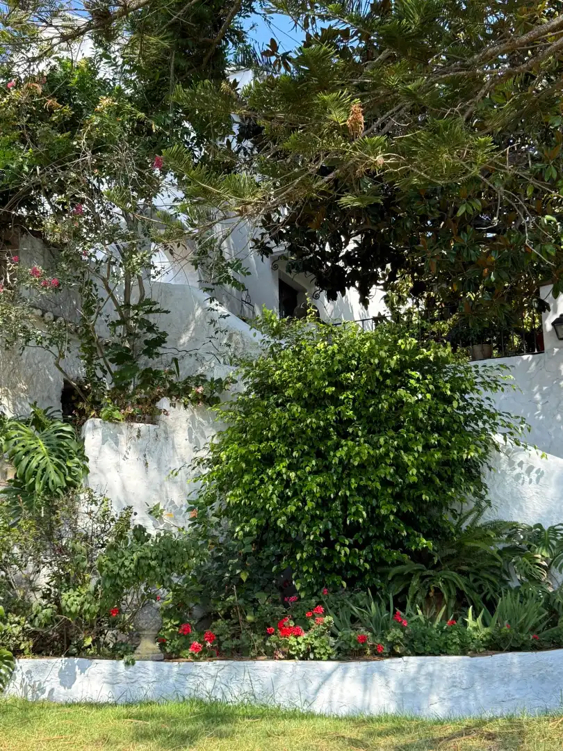 Vista exterior de Casa o chalet en venta en Algeciras con Jardín privado, Terraza y Piscina