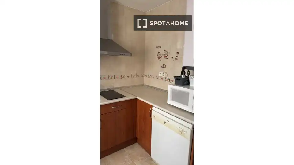 Cuina de Apartament per a compartir en Málaga amb Aire condicionat, Terrassa i Moblat