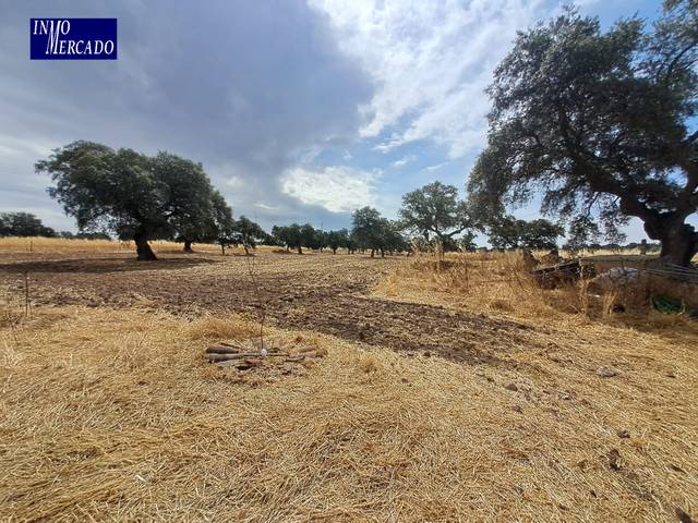 Terreno en Venta en N/A, -1 en Dos Torres