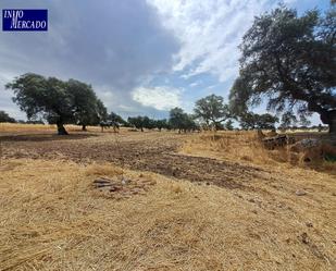 Terreny en venda en Dos Torres