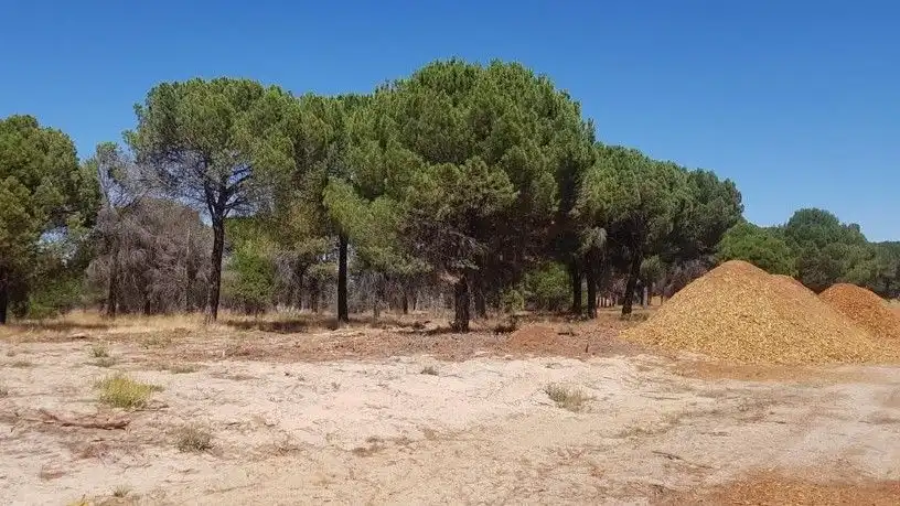 Terreno residencial en venta en Sector Sued-10 Paraje la China Finca A-1, imagen 3