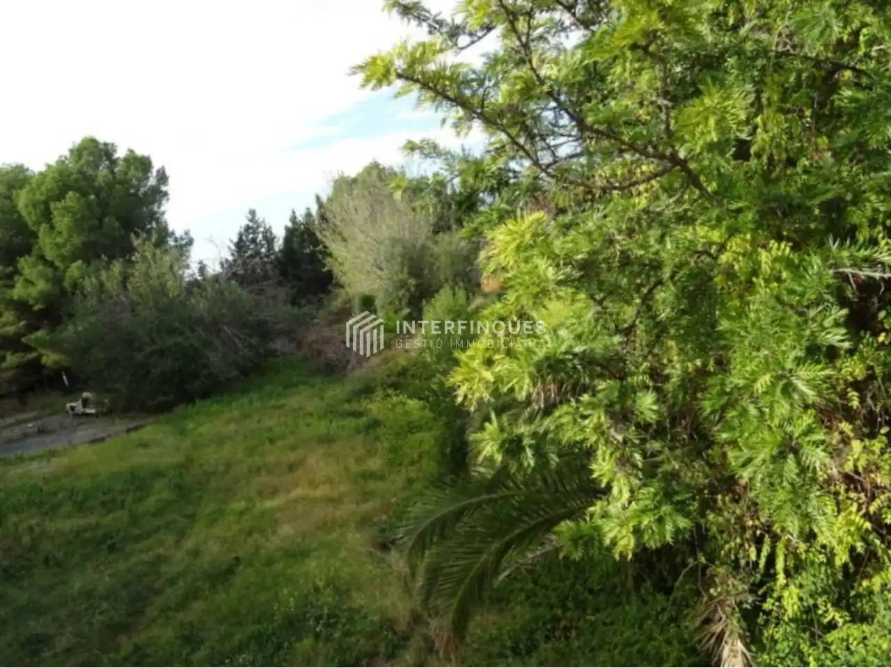 Casa o chalet en venta en Calle Cami de Mataro, Cabrils
