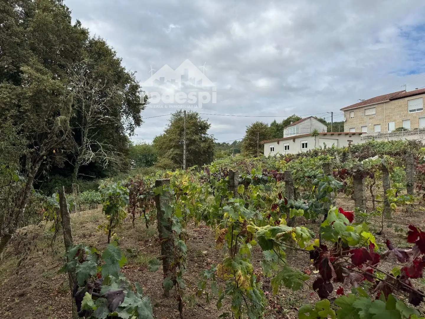 Others for sale in Cortegada, imagen 38