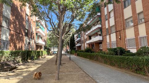 Foto 3 de Planta baja de alquiler en Passatge Alfons IV el Magnànim, 5, Pla d'en Boet, Mataró
