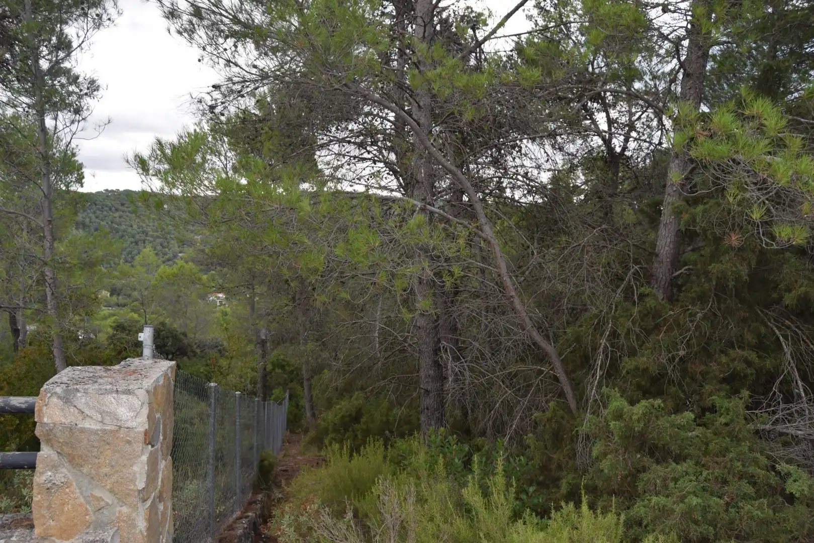 Residential land for sale in Calle Nueva Sierra CR, imagen 3