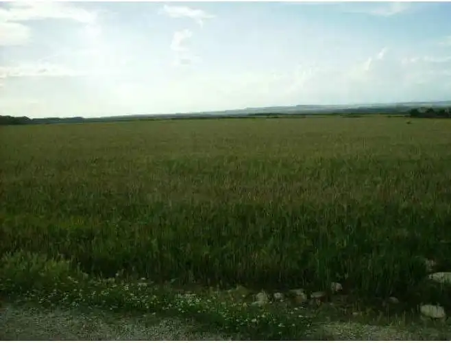 Terreno en venta en Ontiñena