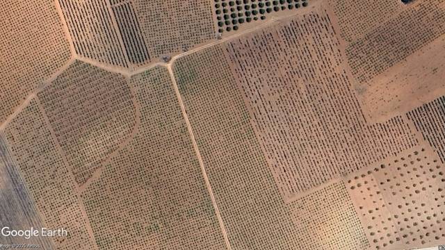 Terreno en Venta en Membrilla