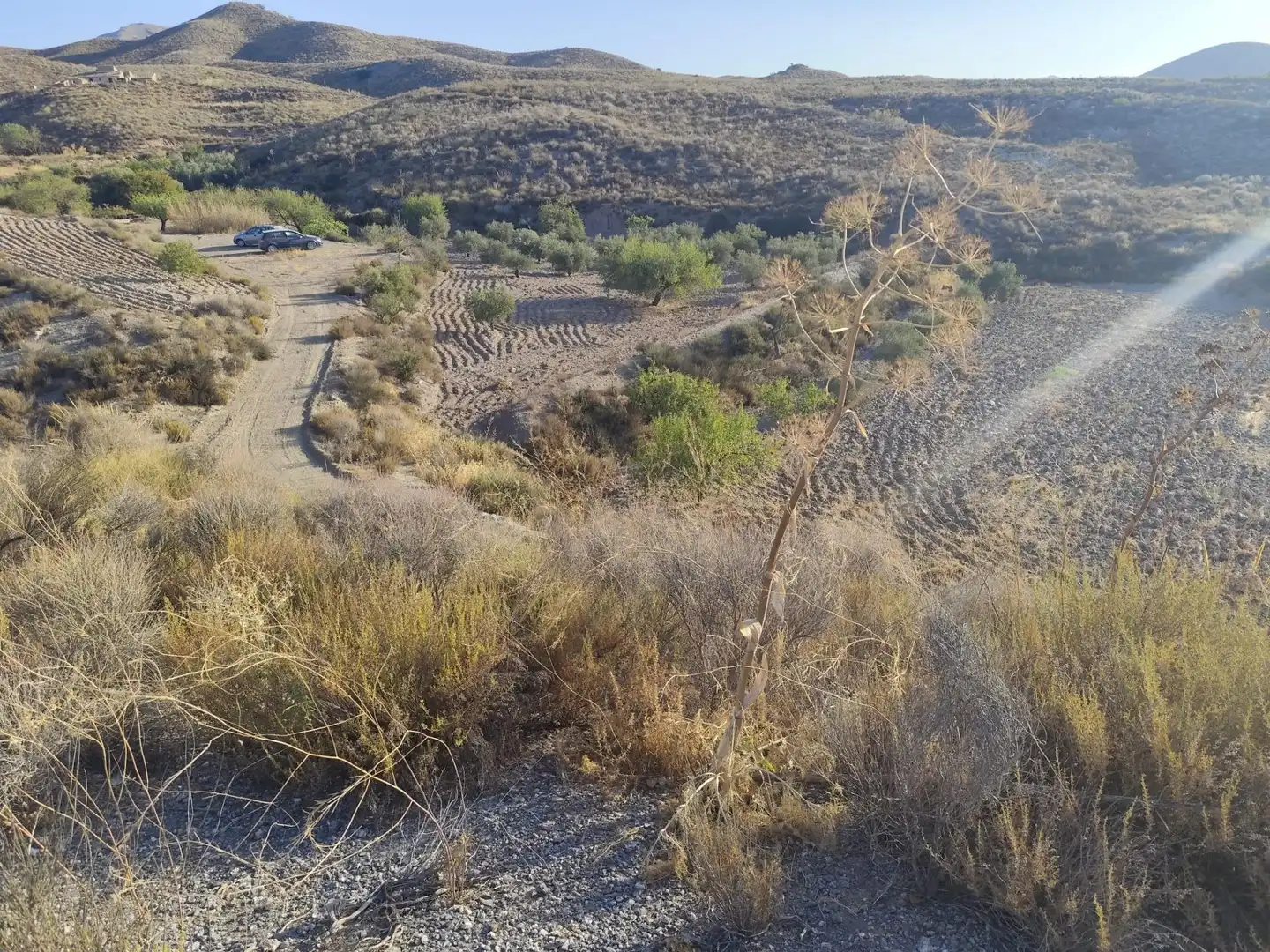 Terrains et parcelles à vendre à Pedanías Centro, imagen 18