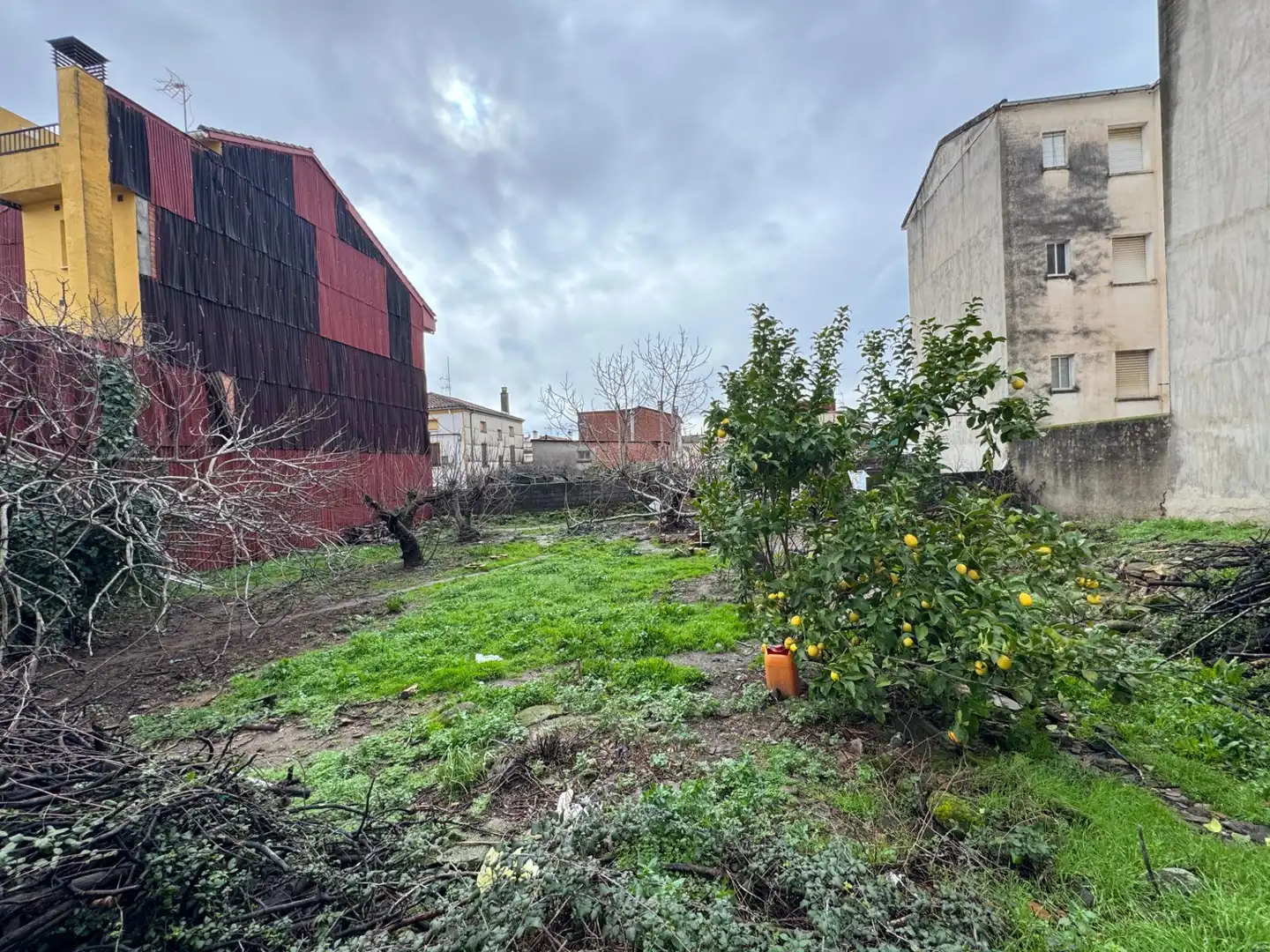 Terreni e lotti in vendita a Candeleda, imagen 6