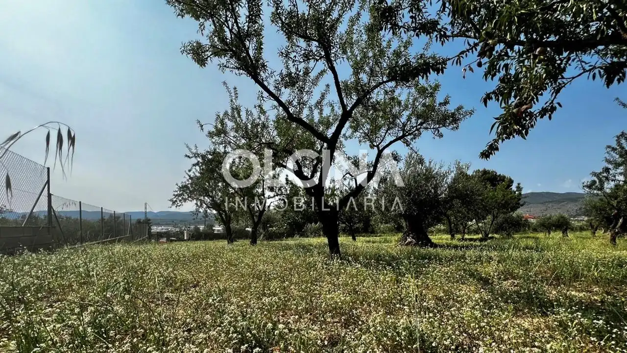 Terreno rústico en venta en Ibi, imagen 5